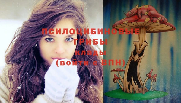 трава Дмитровск